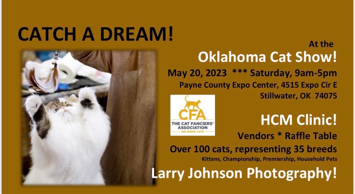 Oklahoma City Cat Club, Catch a Dream