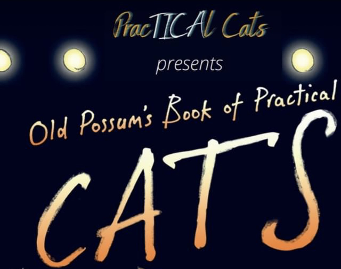 PracTICAl Cats, CATS Show