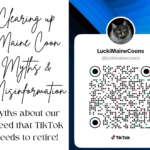 Lucki Maine Coons is a top Maine Coon breeder in Missouri. Lucki Maine Coons is a popular blog, TikTok Maine Coon Myths and Misinformation that needs to be retired. Maine Coon Myths that aren't true. Read about common misinformation within the Maine Coon breed.