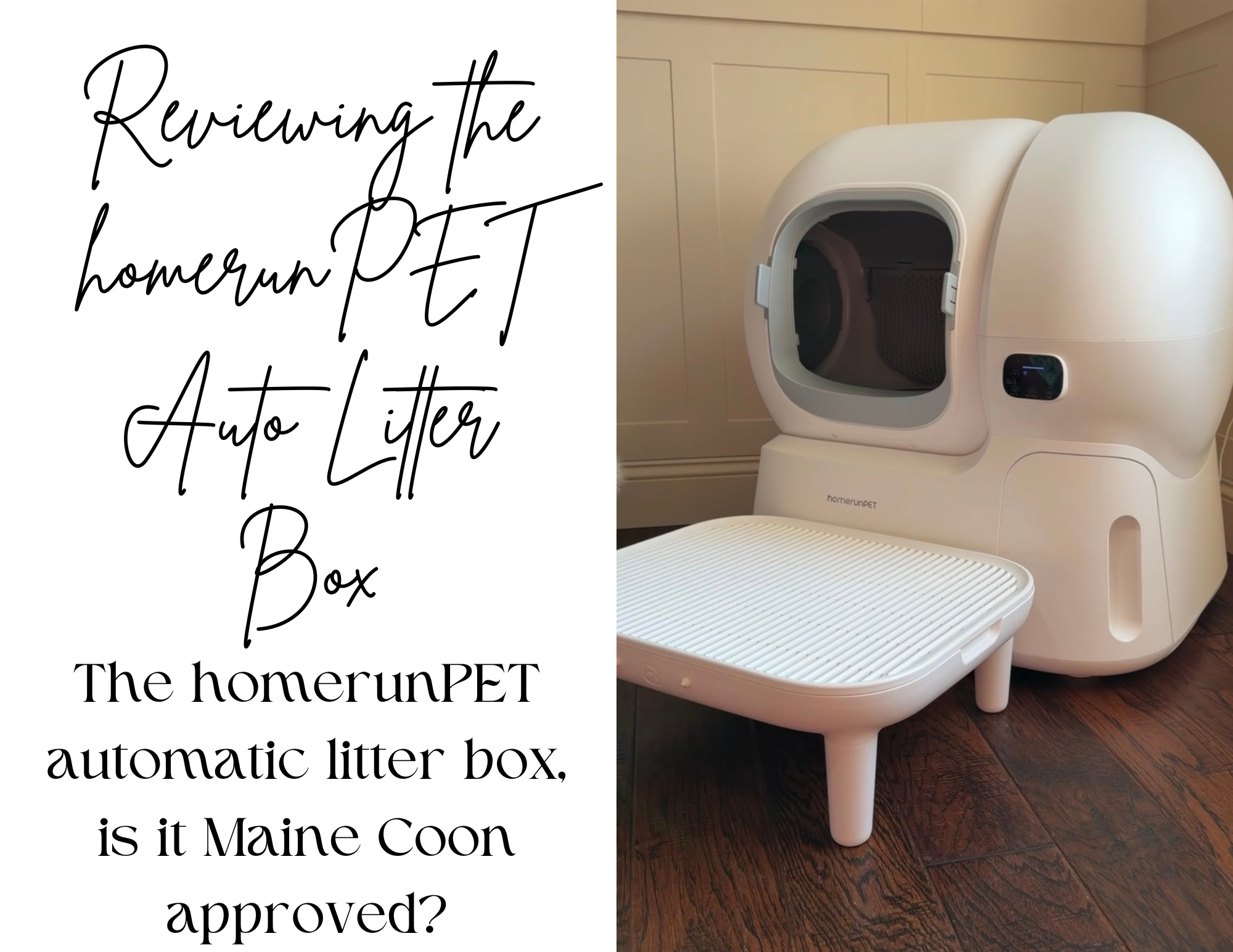 homerunPET Automatic Litter Box Review: Maine Coon Approved
